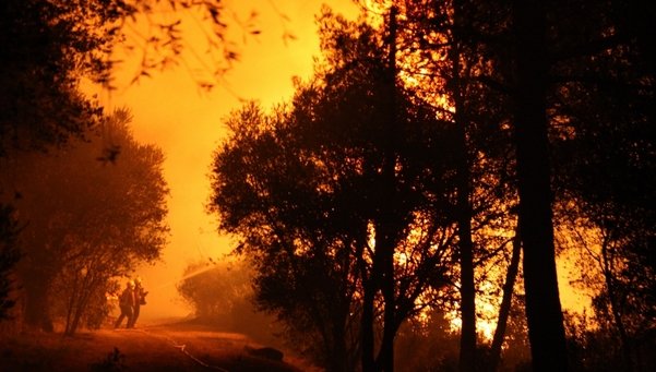 La Generalitat recha la ayuda de la UME en el incendio de Vilopriu